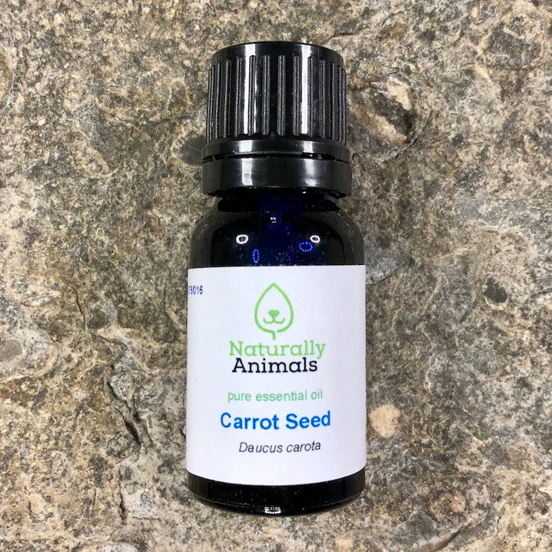 Carrot Seed Essential Oil 10ml