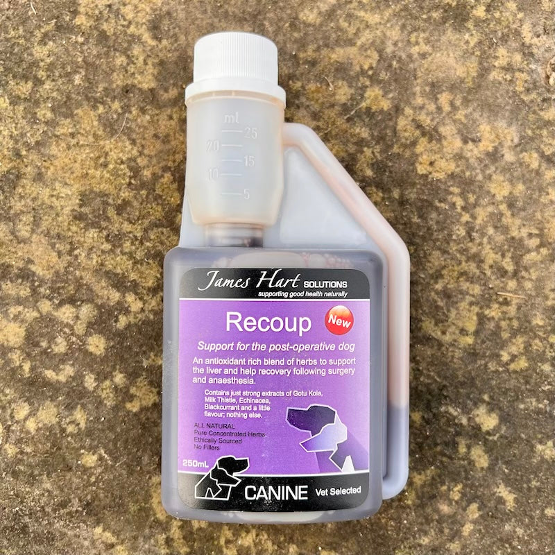 James Hart 'RECOUP' Tonic for DOGS 250ml