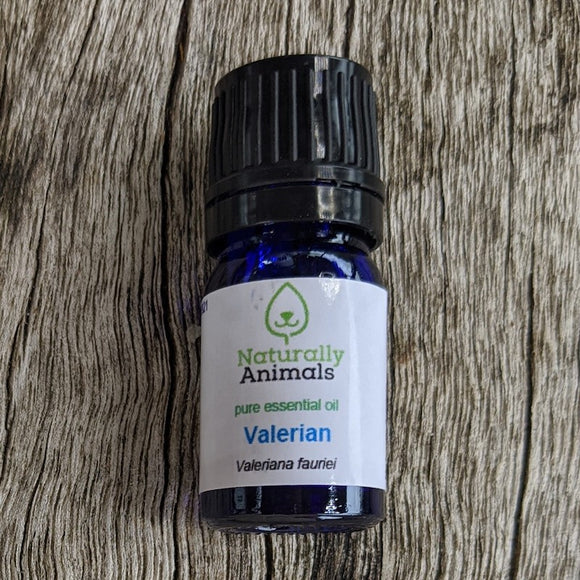 Valerian Essential Oil 10ml